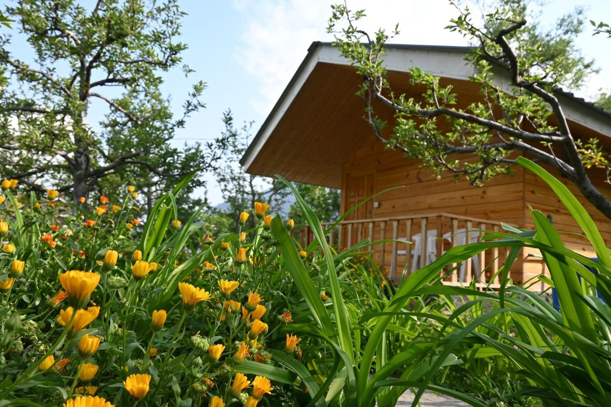 Cascade Mountain Retreat Manali Acomodação com café da manhã Exterior foto