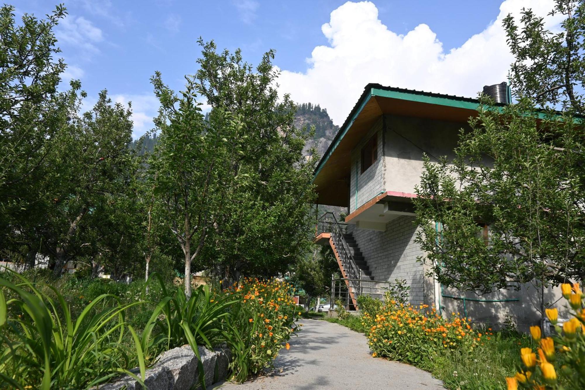 Cascade Mountain Retreat Manali Acomodação com café da manhã Exterior foto