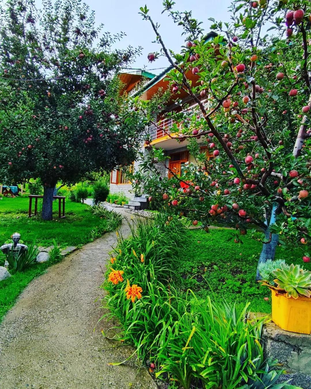 Cascade Mountain Retreat Manali Acomodação com café da manhã Exterior foto